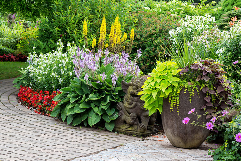 front yard landscaping tips